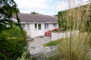 Tamarisk back garden
