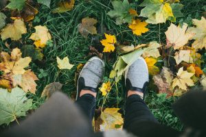 October Half Term holiday in Cornwall