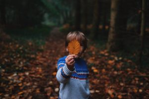 October Half Term holiday in Cornwall