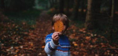 October Half Term holiday in Cornwall