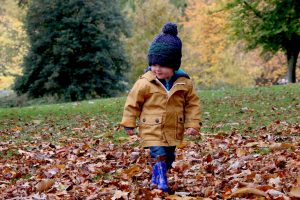Little boy walking on fallen leaves