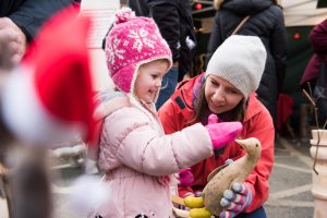 Padstow's traditional Christmas market located on the harbourside.